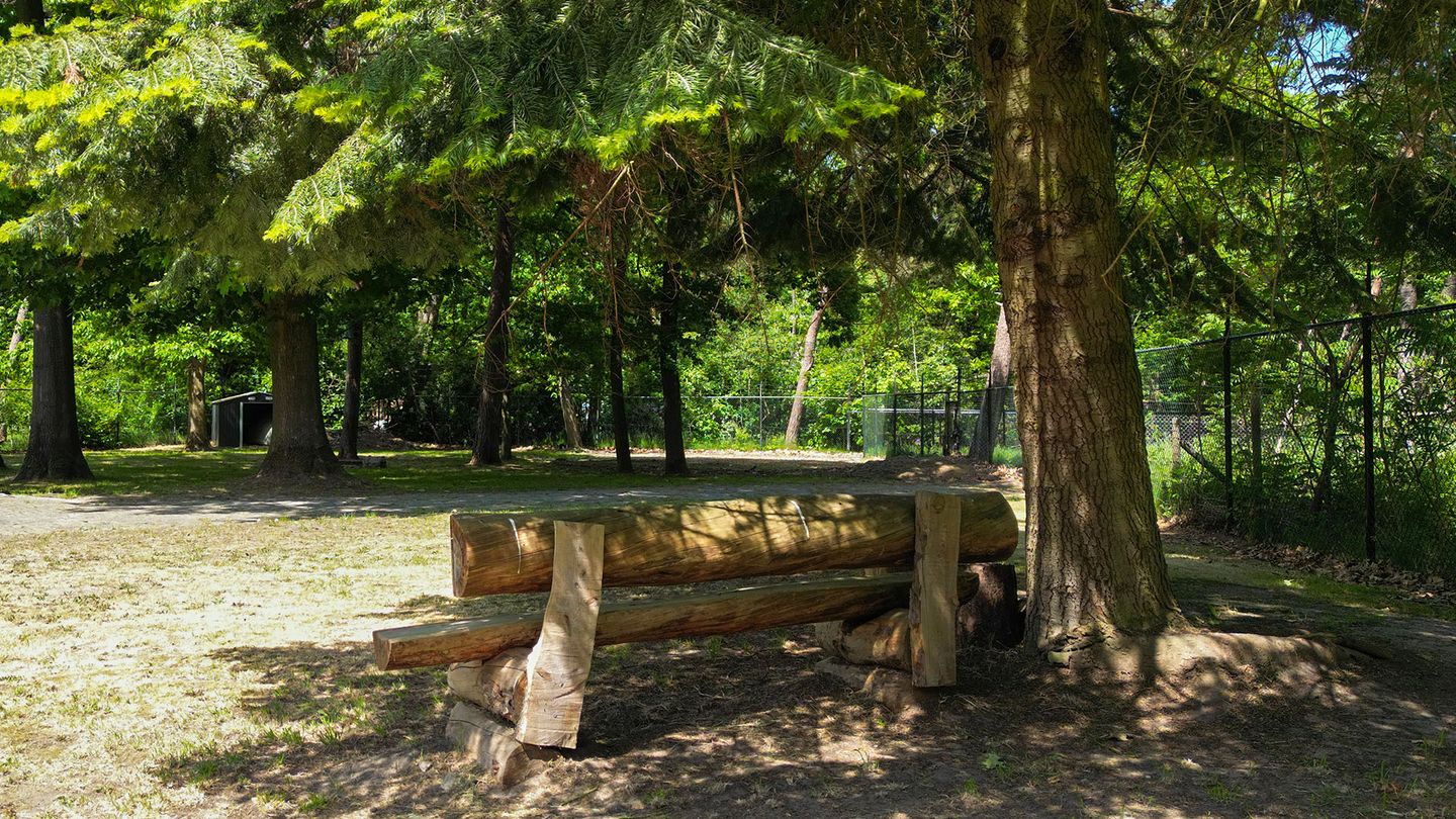 Foto 5 van Oude Rielsebaan 41-A