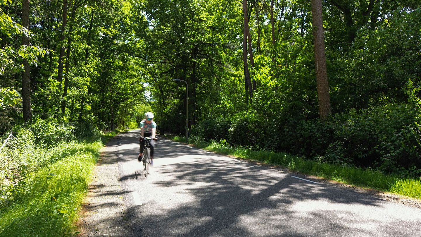 Foto 10 van Oude Rielsebaan 41-A