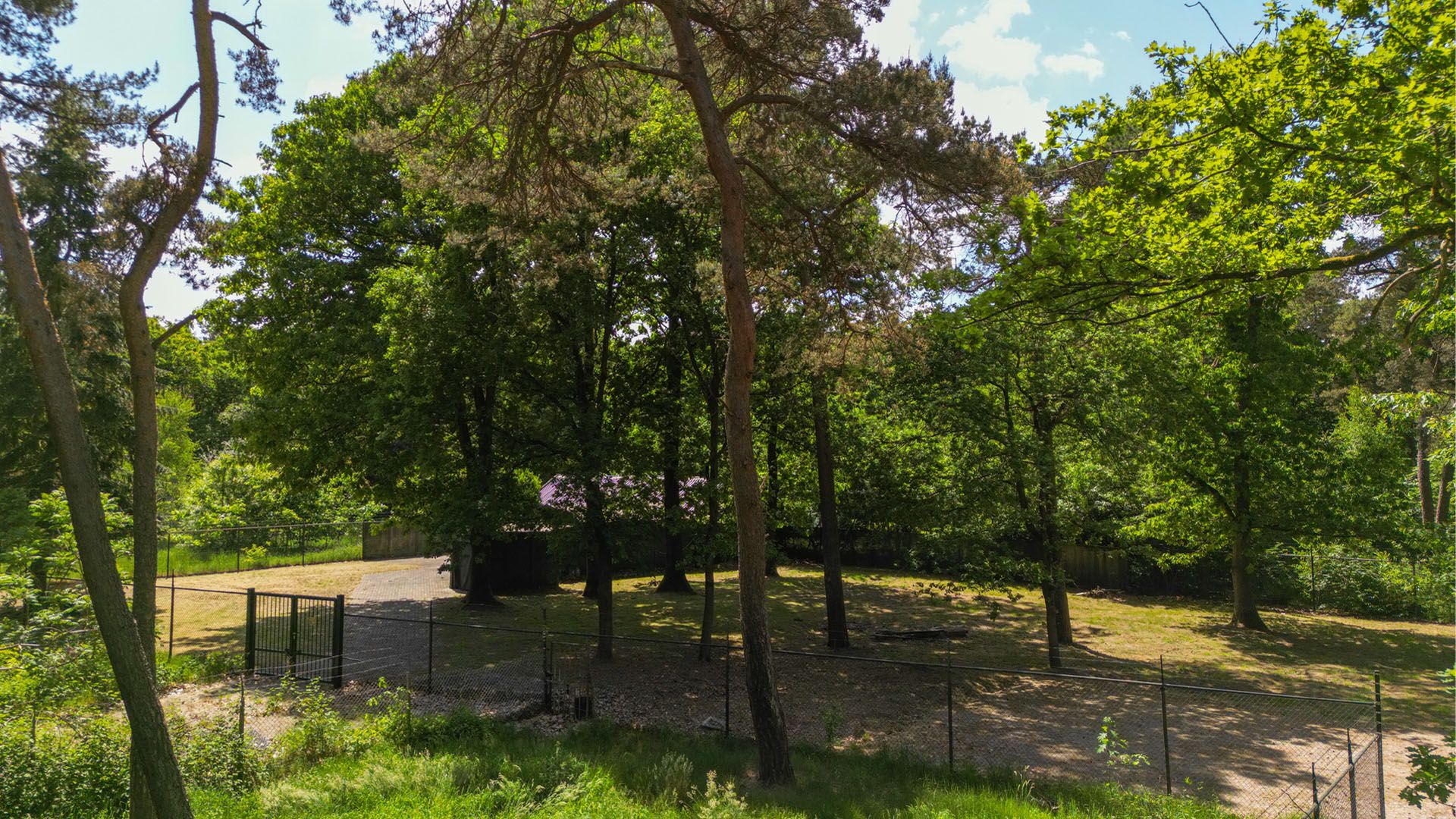 Foto 9 van Oude Rielsebaan 41-A