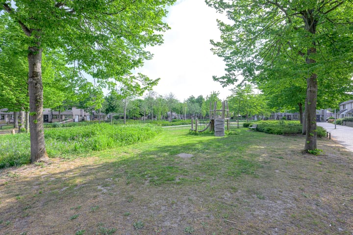 Foto 38 van Henriëtte Roland Holststraat 18