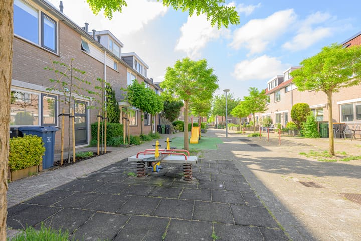 Foto 36 van Henriëtte Roland Holststraat 18