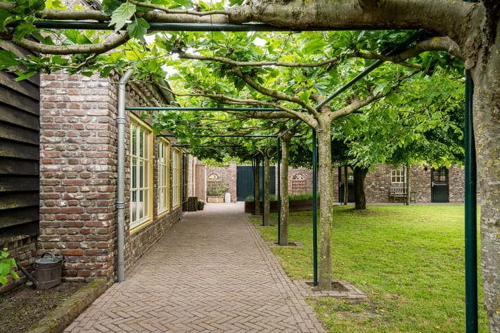 Photo 71 of Geheugden 5