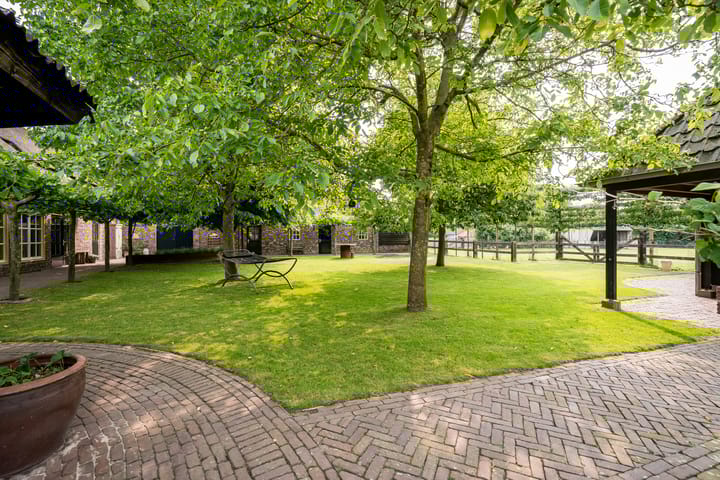 Photo 73 of Geheugden 5