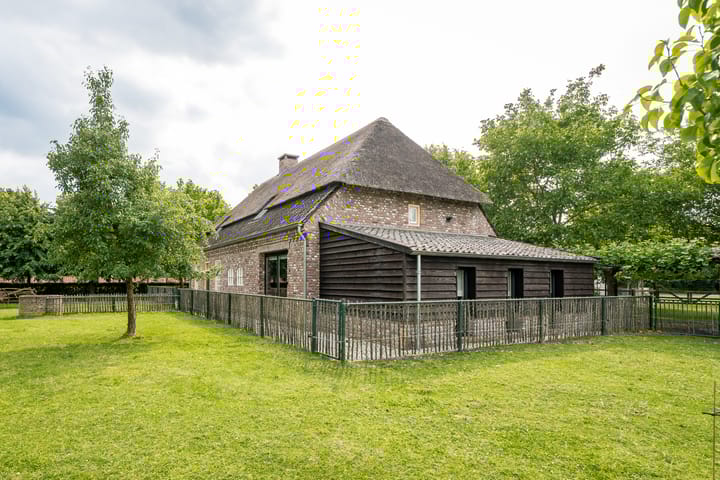 Photo 74 of Geheugden 5