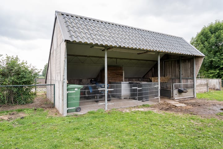 Photo 77 of Geheugden 5