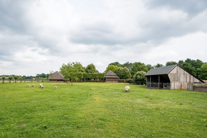 Photo 79 of Geheugden 5