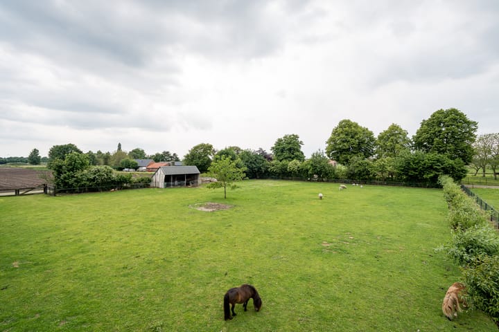 Photo 80 of Geheugden 5