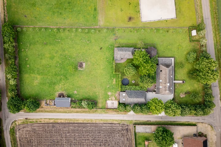 Photo 82 of Geheugden 5