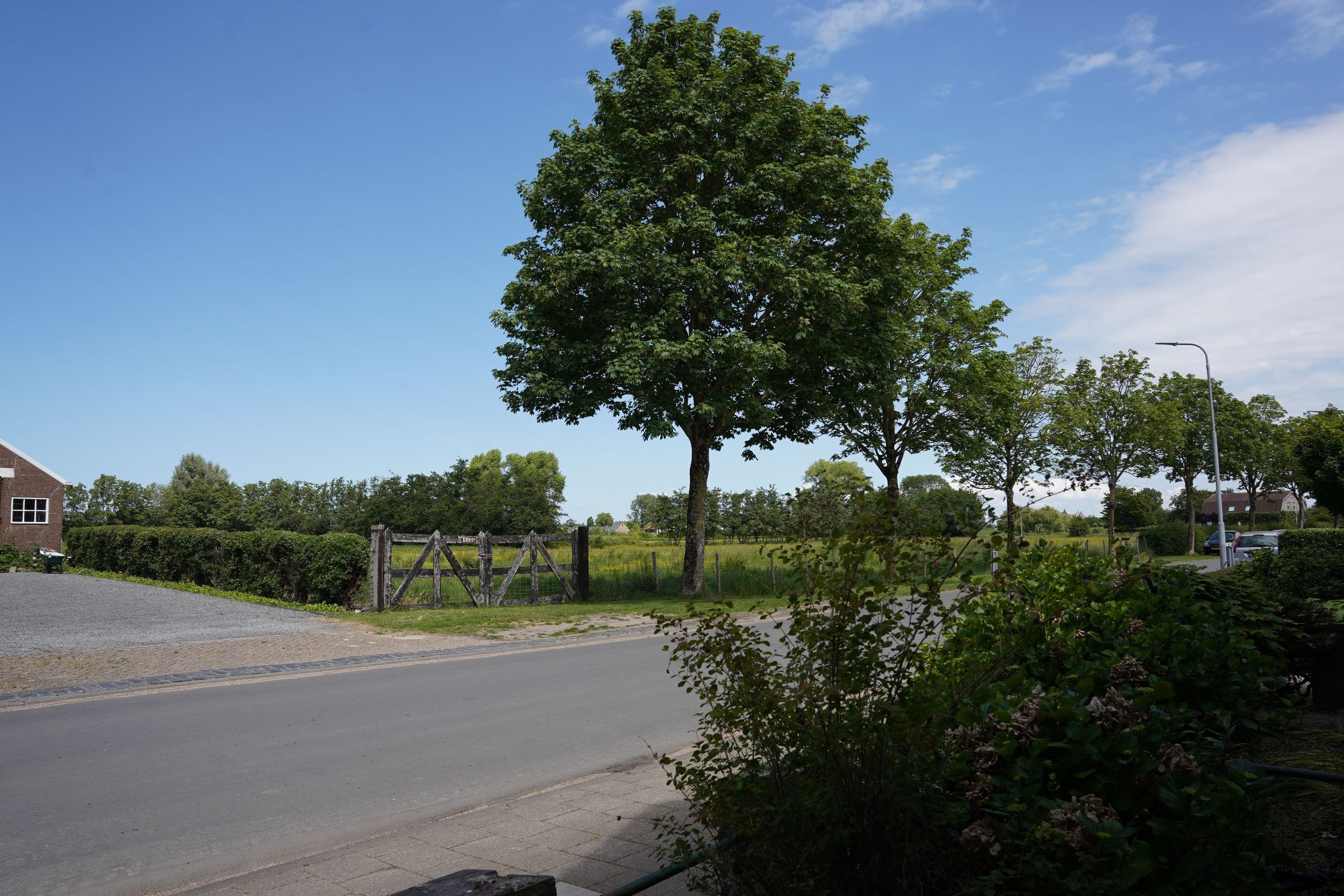 Foto 48 van Bogaardstraat 22