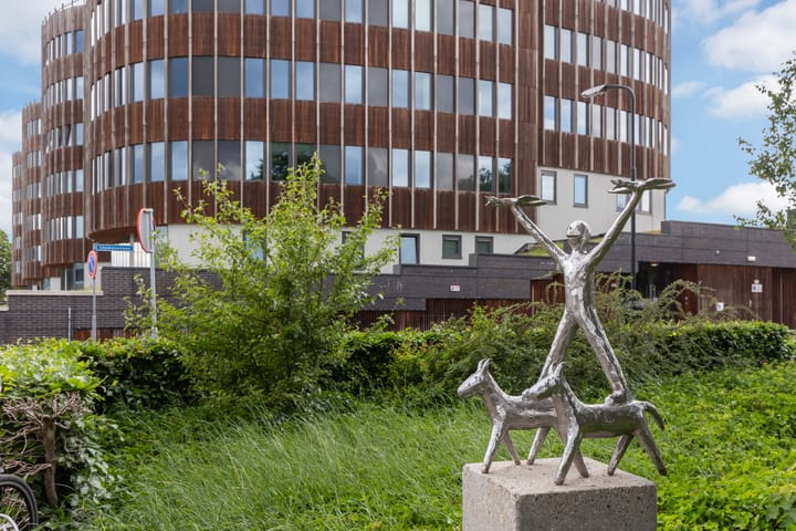 Foto 32 van Chamavenlaan 248