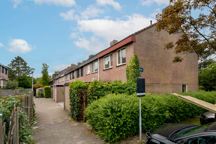 Foto 28 van Saeftinge 97