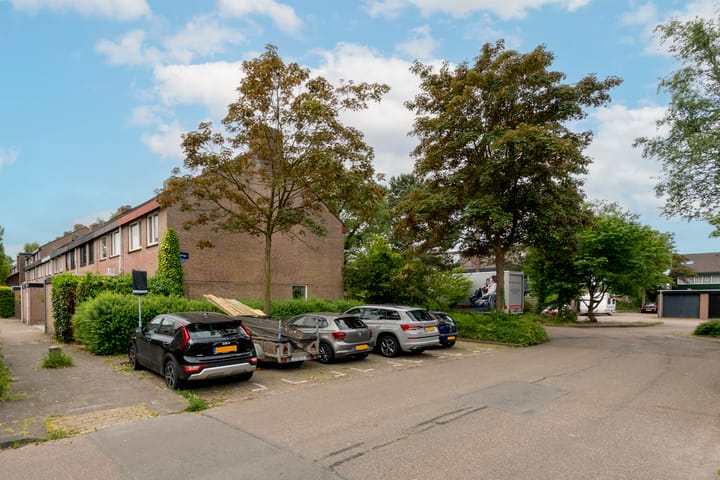 Foto 31 van Saeftinge 97