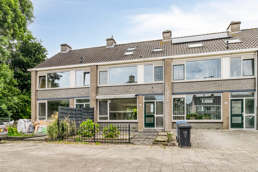 Foto 1 van Stekelbrem 45