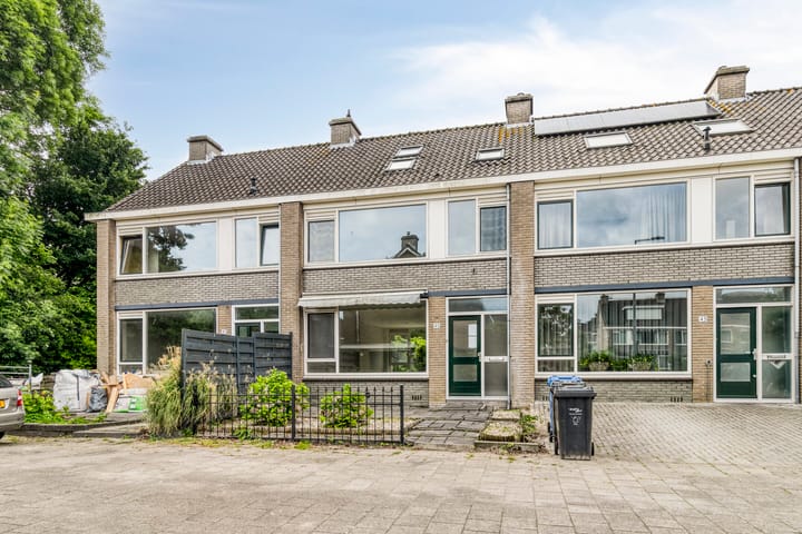 Foto 1 van Stekelbrem 45