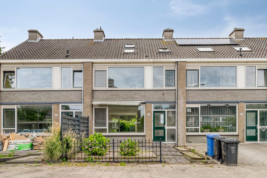 Foto 2 van Stekelbrem 45