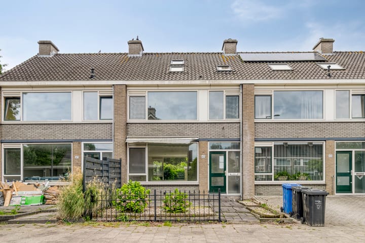 Foto 2 van Stekelbrem 45