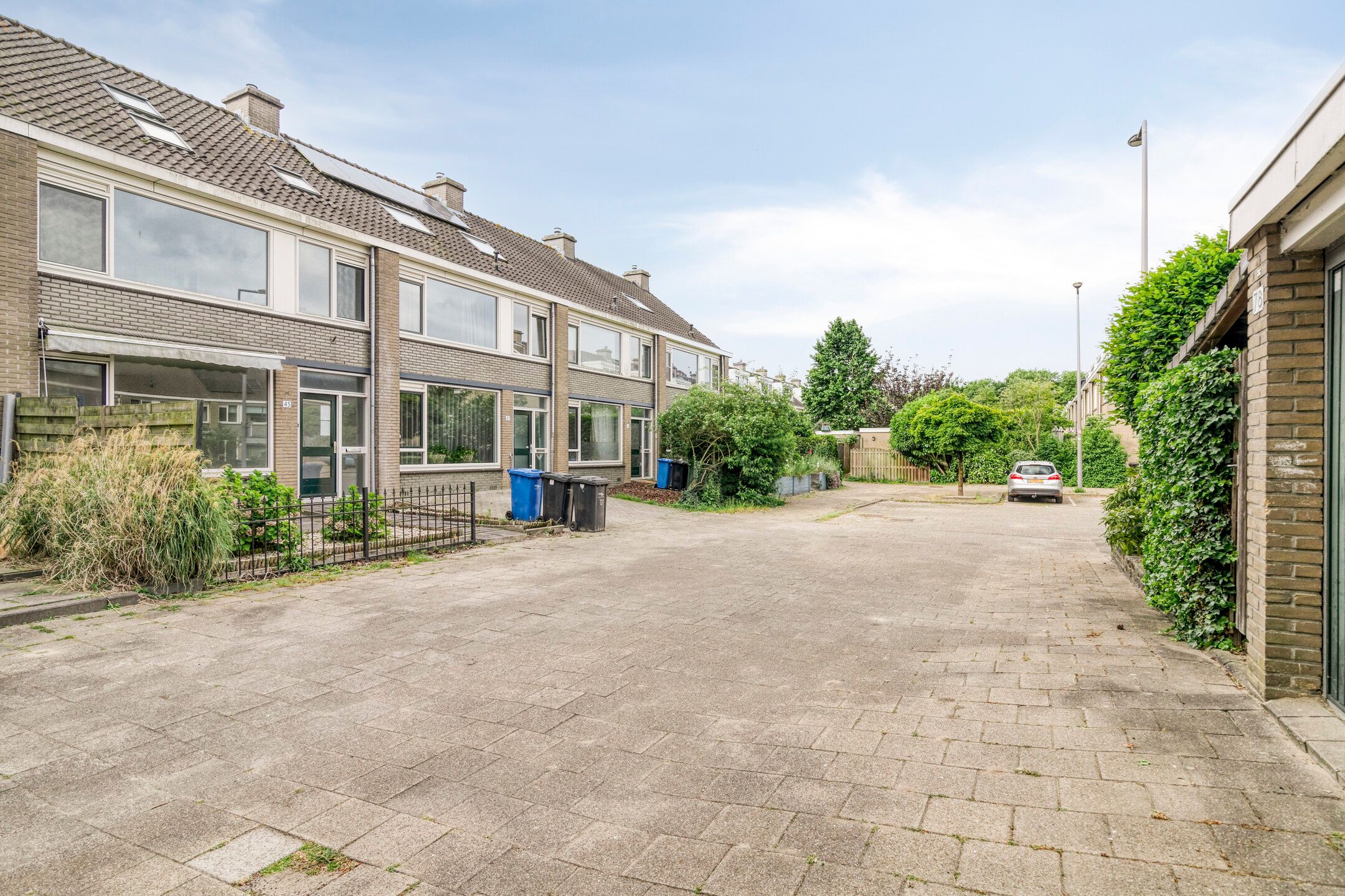 Foto 3 van Stekelbrem 45