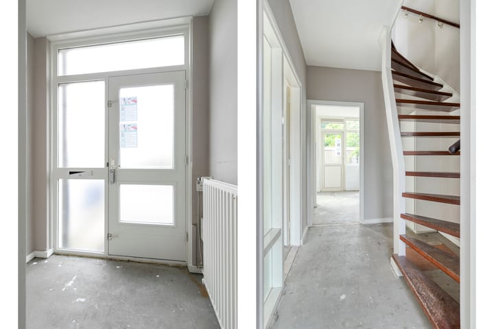 Foto 5 van Stekelbrem 45