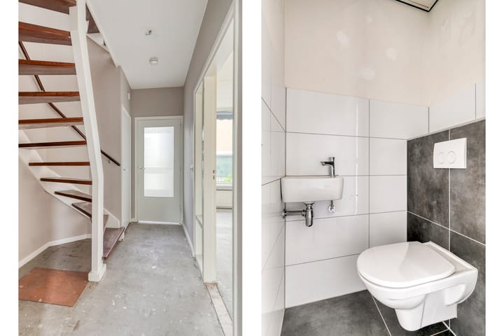 Foto 6 van Stekelbrem 45