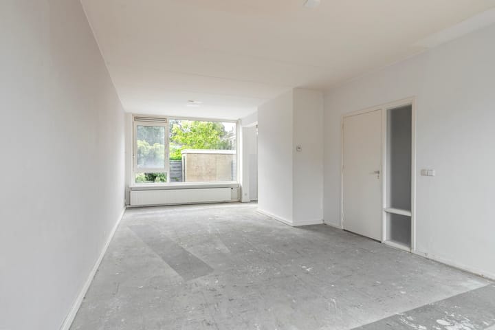 Foto 8 van Stekelbrem 45