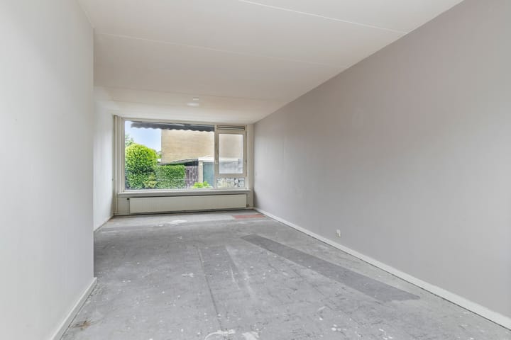 Foto 10 van Stekelbrem 45