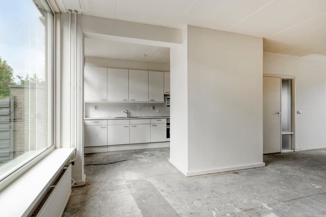 Foto 11 van Stekelbrem 45