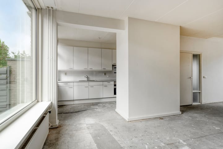 Foto 11 van Stekelbrem 45