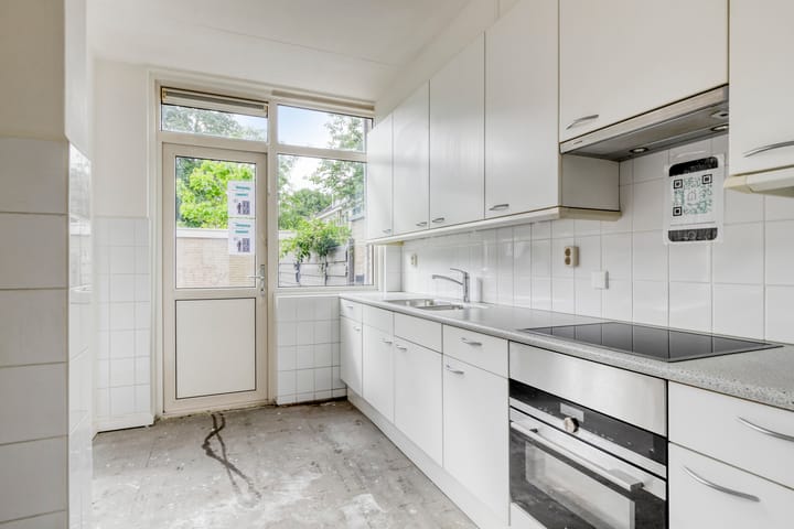 Foto 13 van Stekelbrem 45