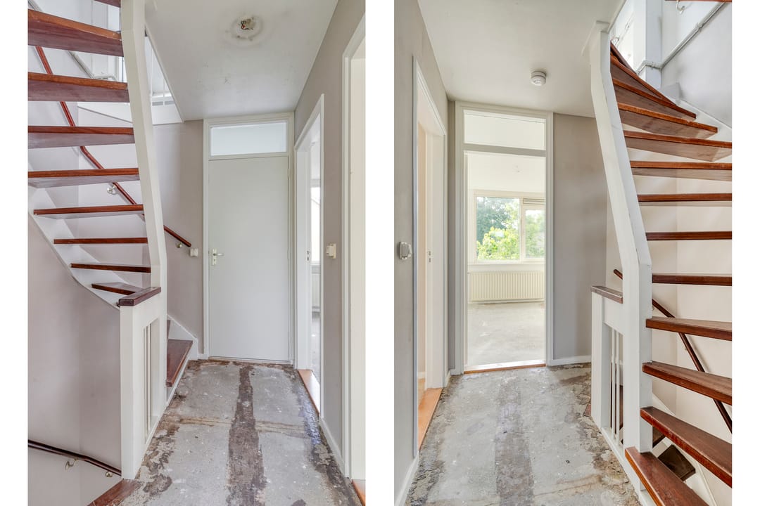 Foto 16 van Stekelbrem 45