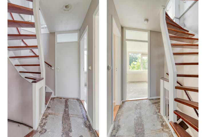 Foto 16 van Stekelbrem 45