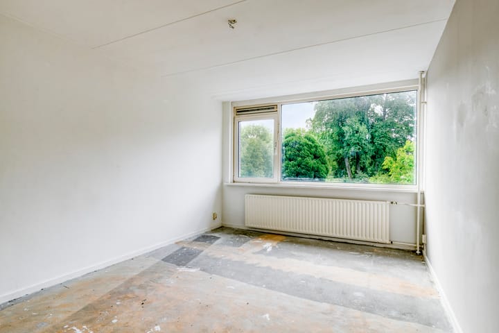 Foto 17 van Stekelbrem 45