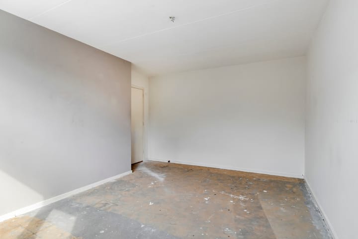 Foto 18 van Stekelbrem 45