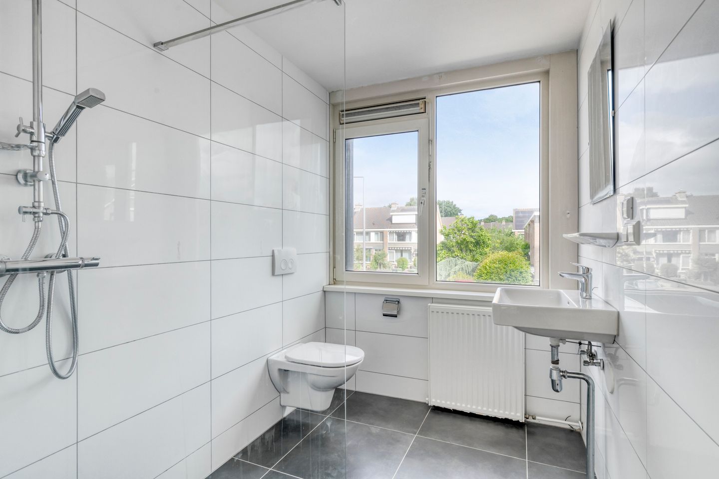 Foto 19 van Stekelbrem 45