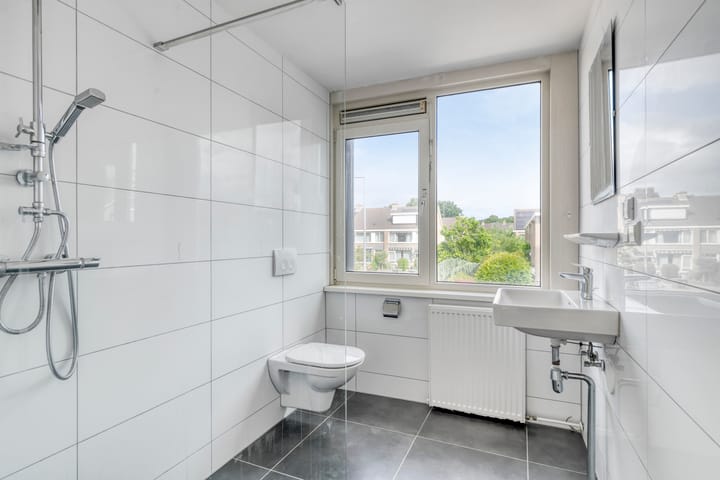 Foto 19 van Stekelbrem 45