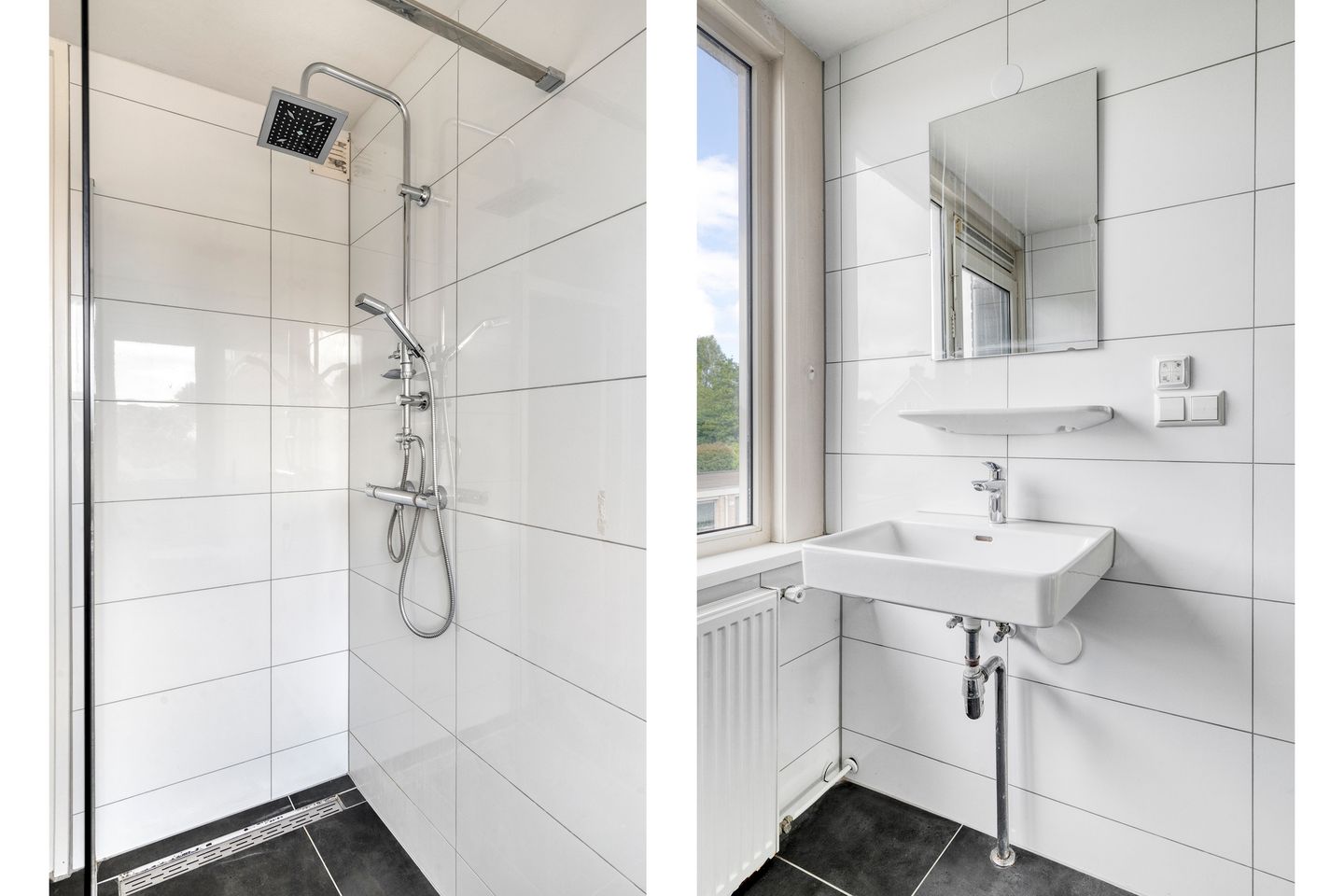 Foto 20 van Stekelbrem 45