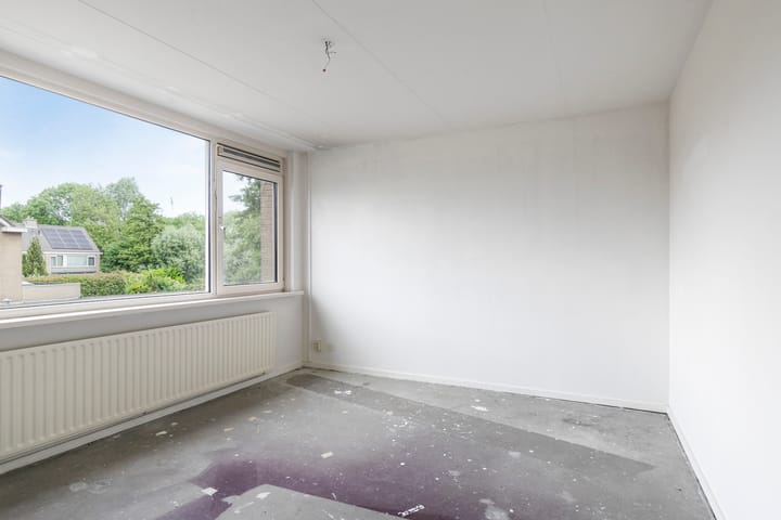 Foto 21 van Stekelbrem 45