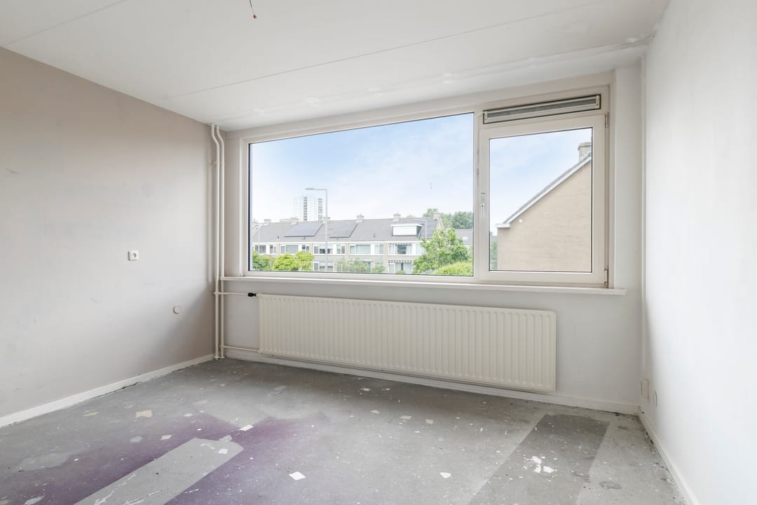 Foto 22 van Stekelbrem 45