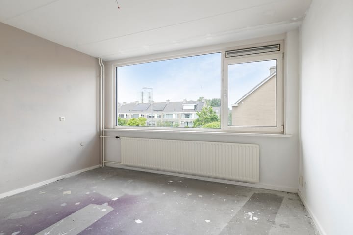 Foto 22 van Stekelbrem 45