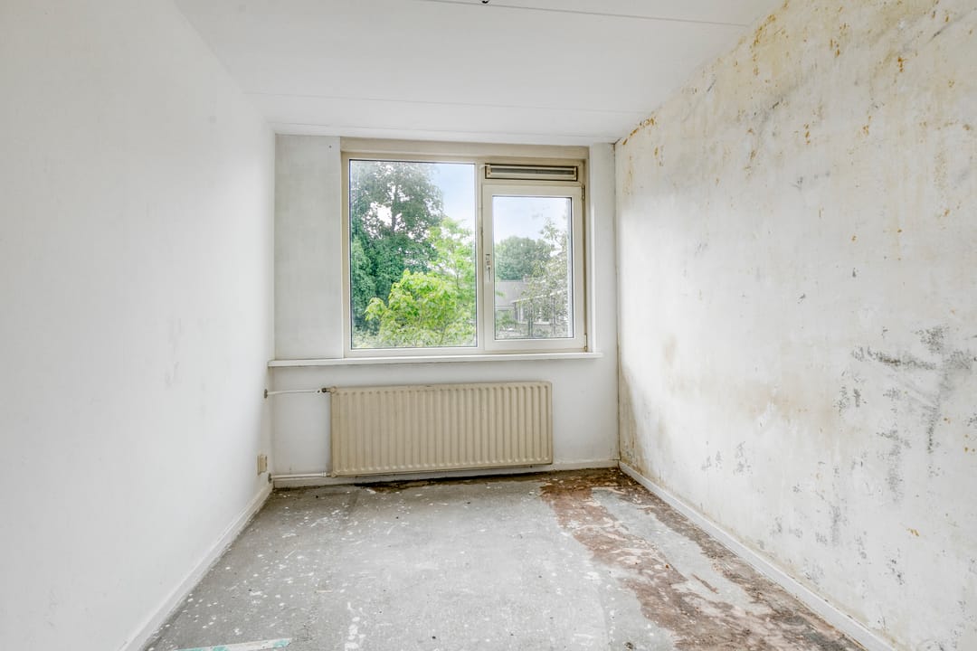 Foto 23 van Stekelbrem 45