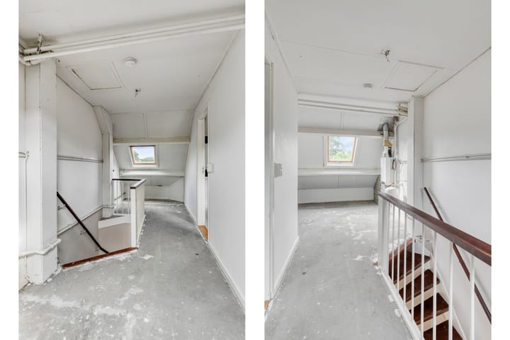 Foto 25 van Stekelbrem 45