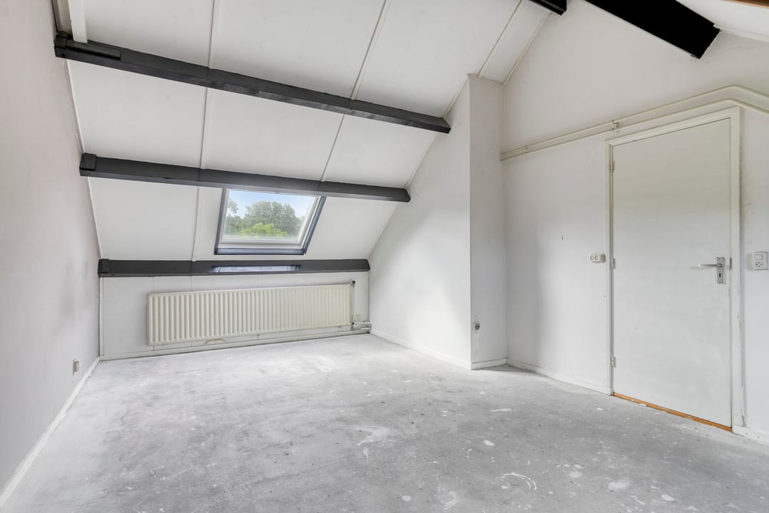 Foto 26 van Stekelbrem 45