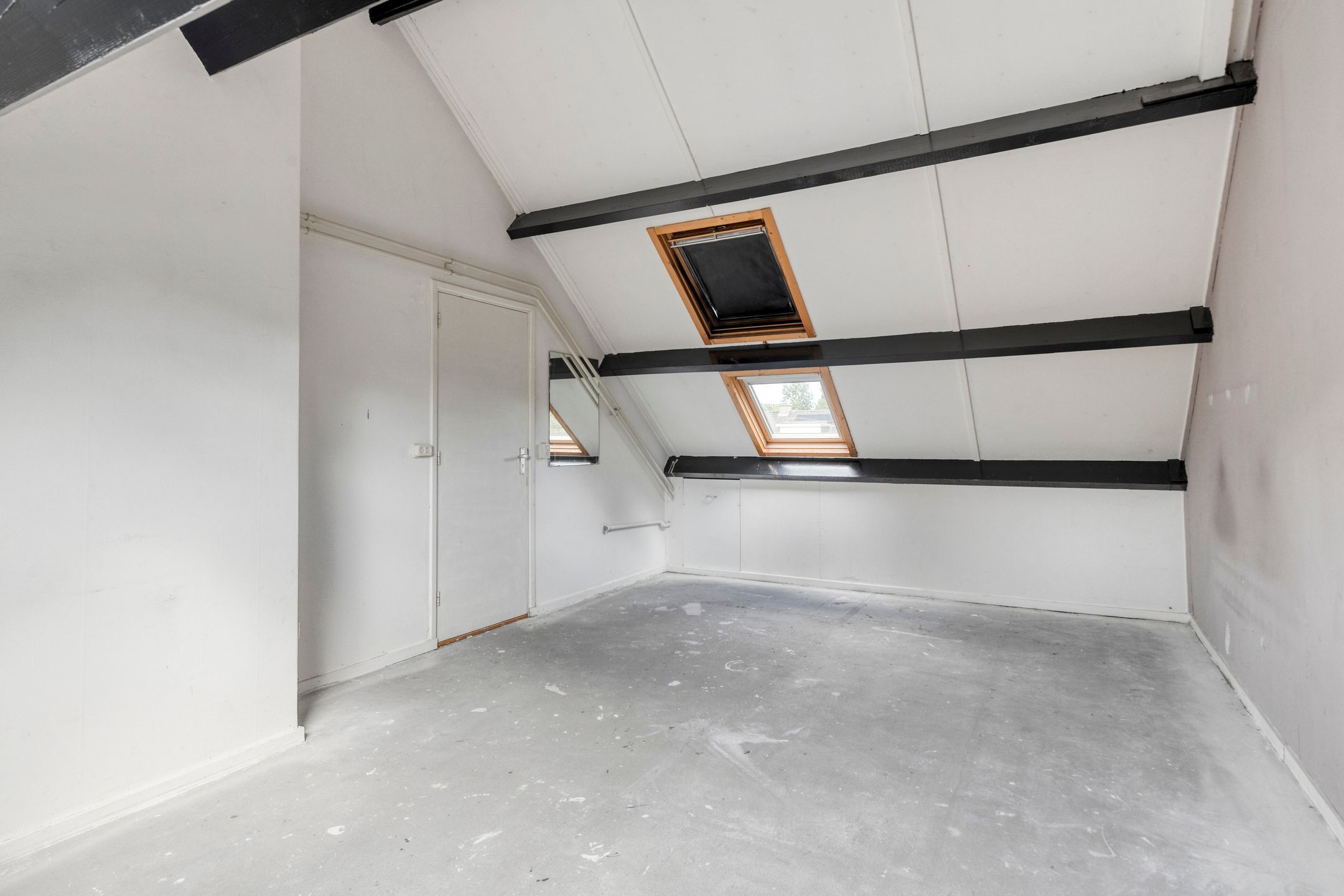 Foto 27 van Stekelbrem 45