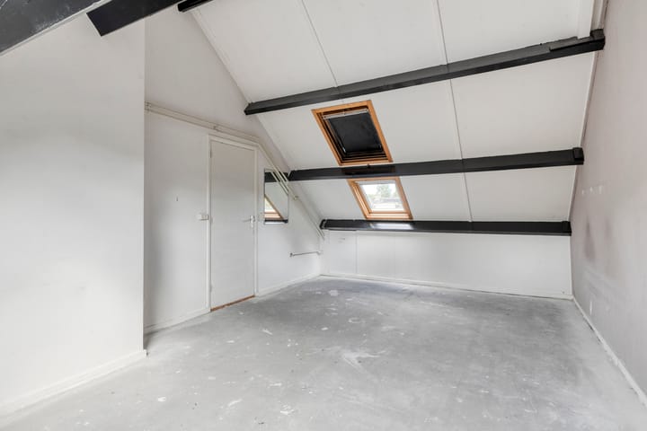 Foto 27 van Stekelbrem 45