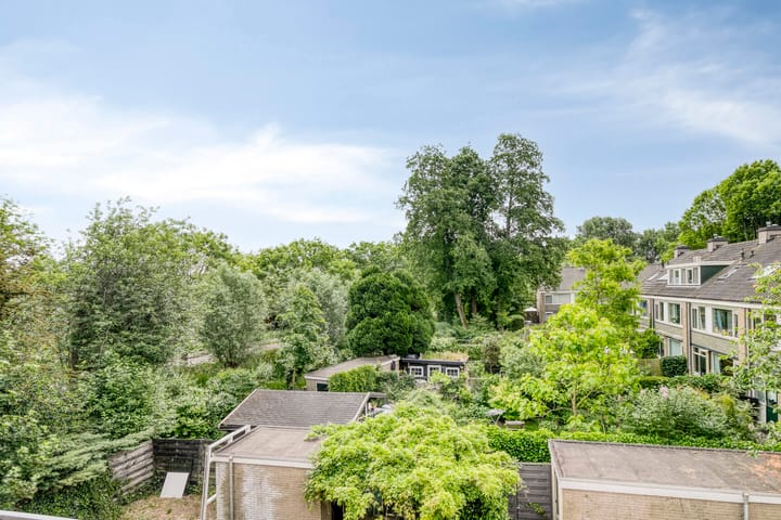 Foto 28 van Stekelbrem 45