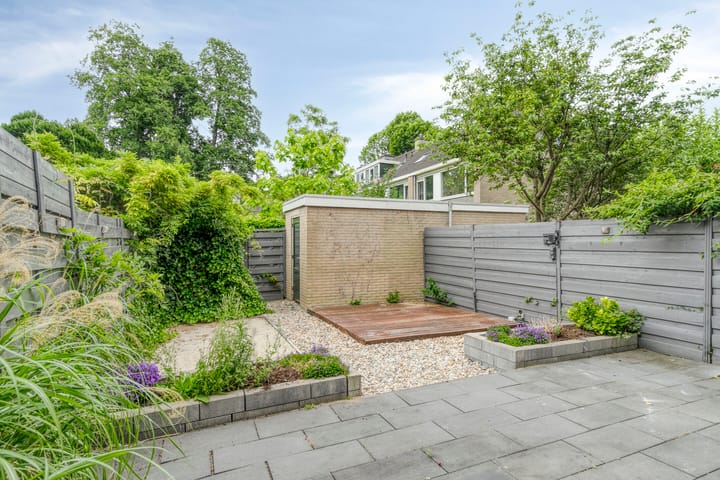 Foto 29 van Stekelbrem 45