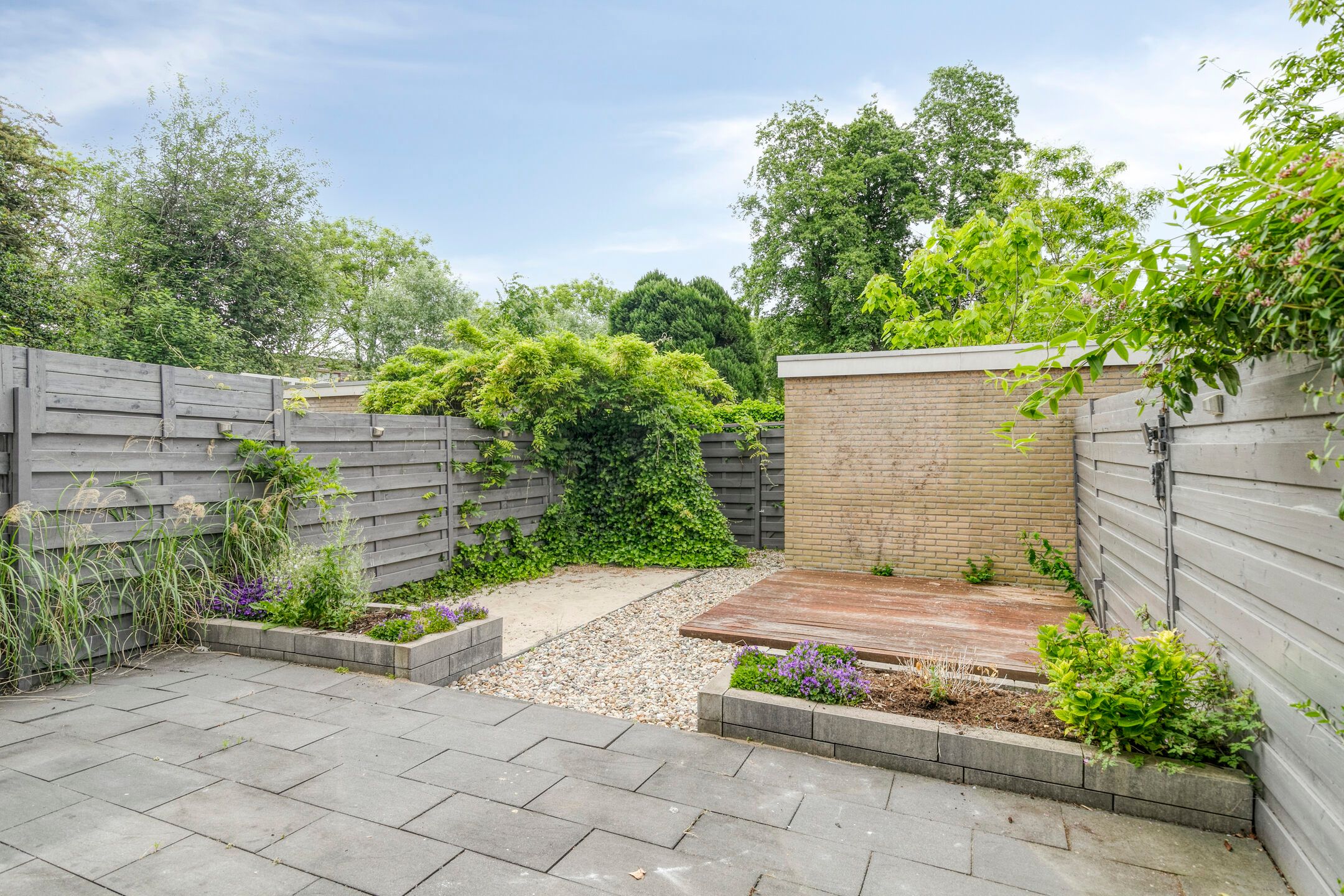 Foto 30 van Stekelbrem 45