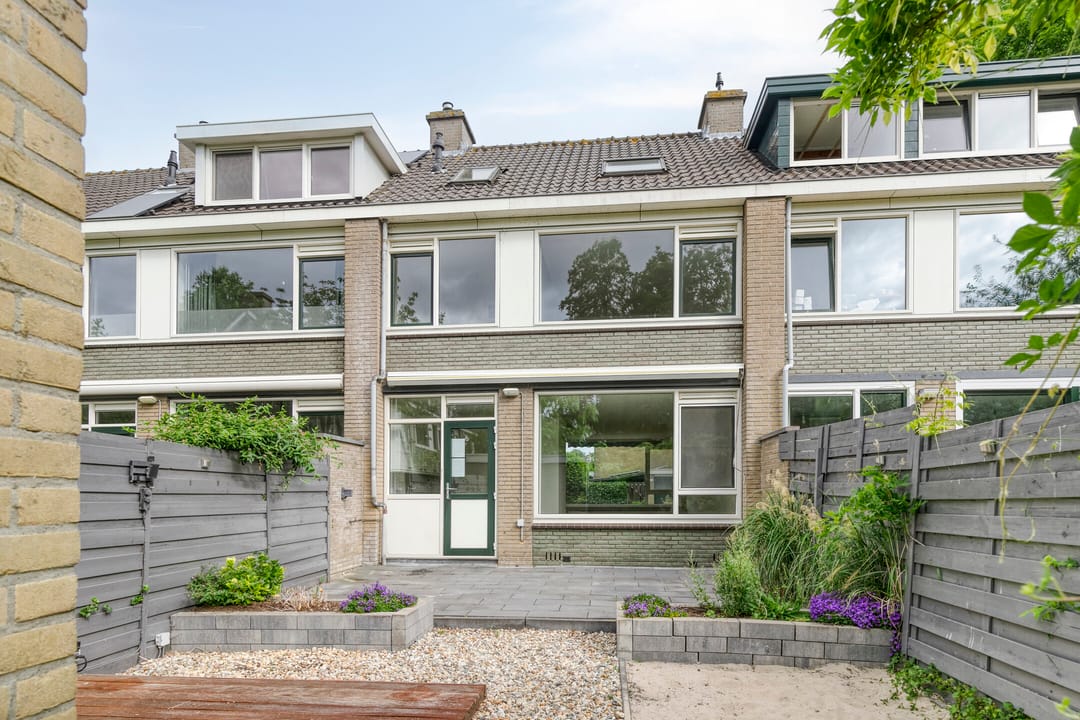 Foto 31 van Stekelbrem 45