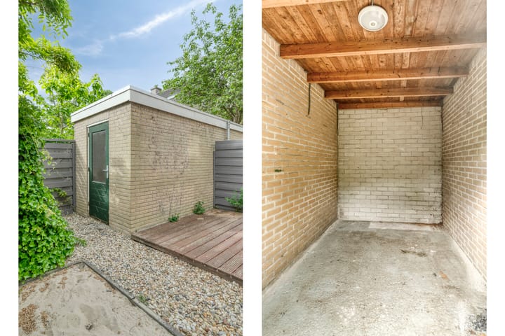 Foto 33 van Stekelbrem 45