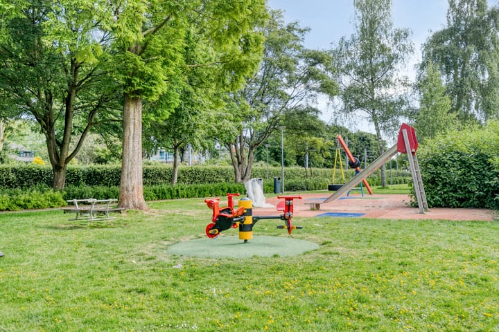 Foto 35 van Stekelbrem 45