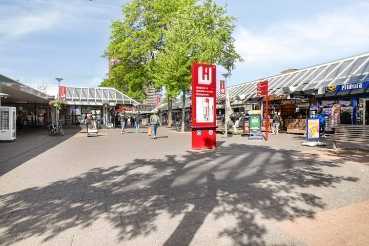 Foto 36 van Stekelbrem 45